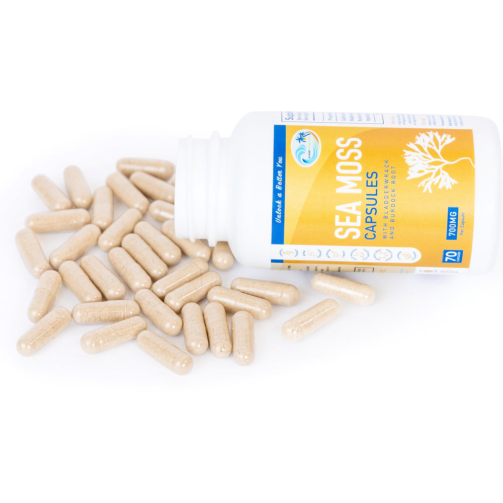 
                  
                    Sea Moss With Bladderwrack And Burdock Root Capsules - Ocean Botanicals
                  
                