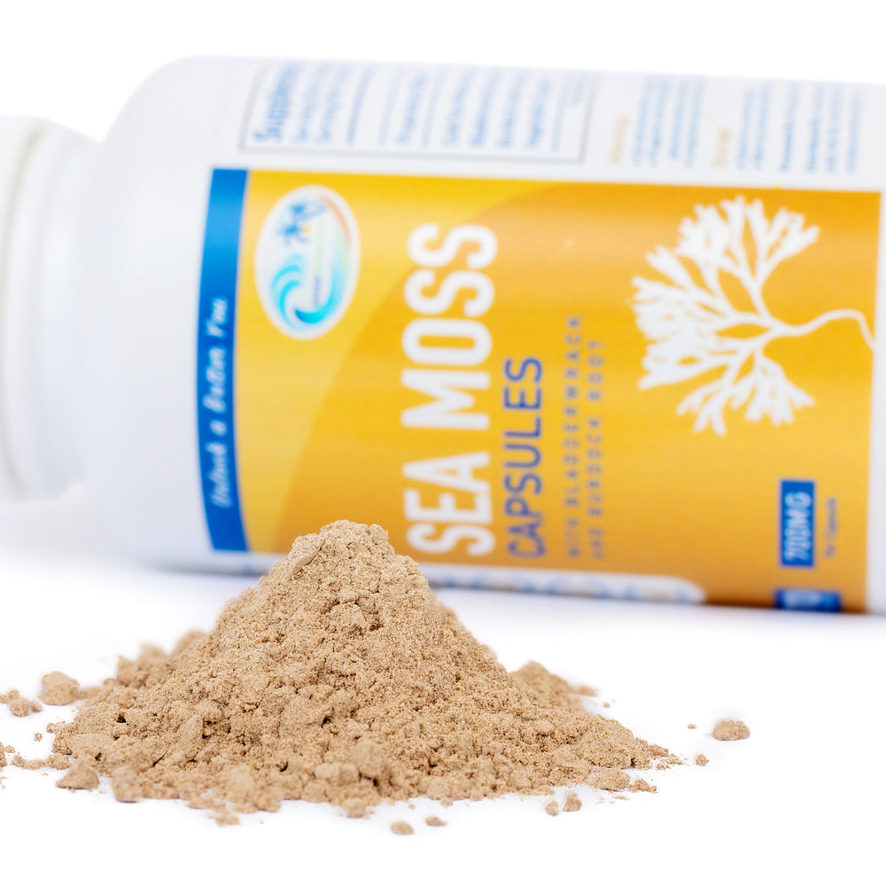 
                  
                    Sea Moss With Bladderwrack And Burdock Root Capsules - Ocean Botanicals
                  
                