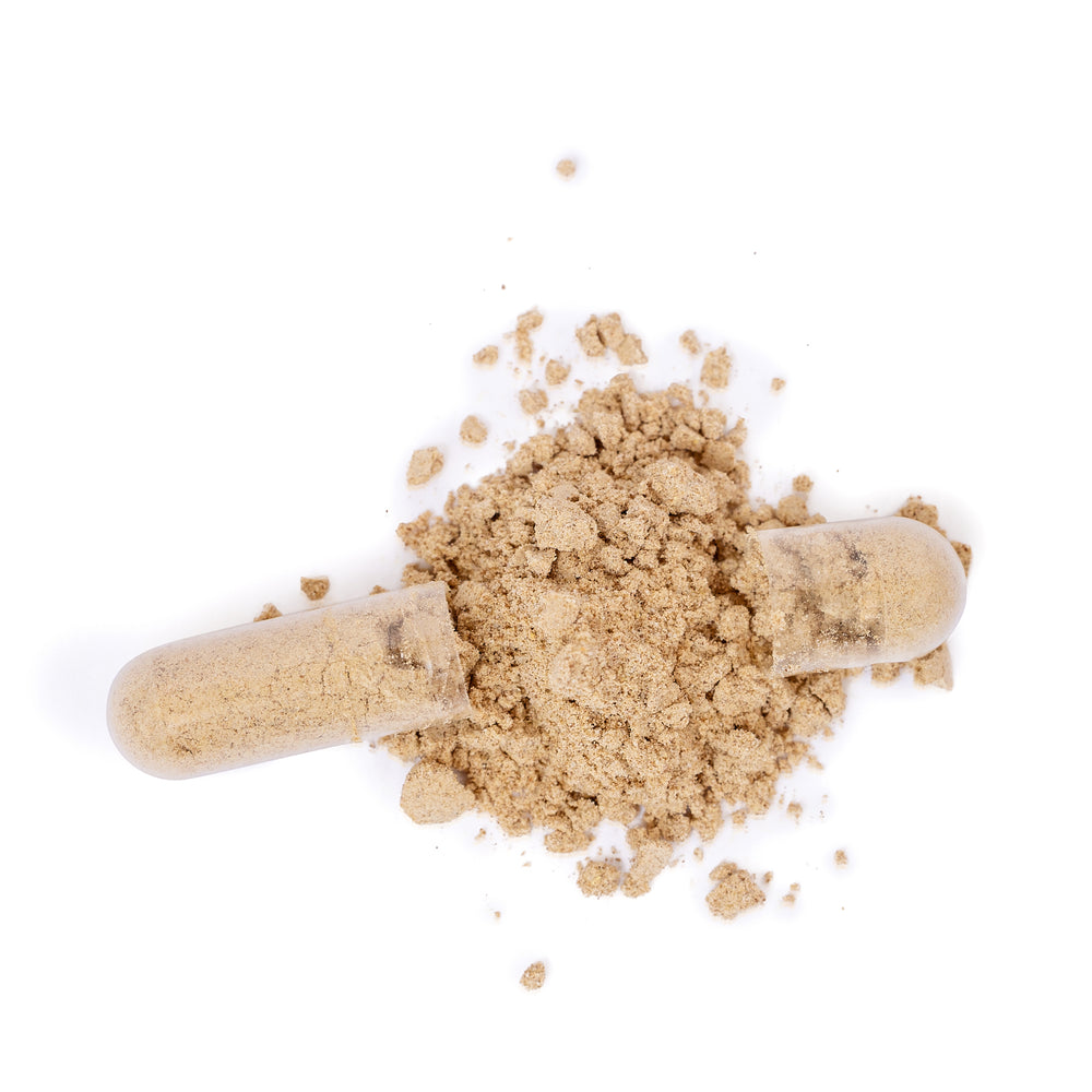 
                  
                    Raw Organic Ginger Capsules - Ocean Botanicals
                  
                