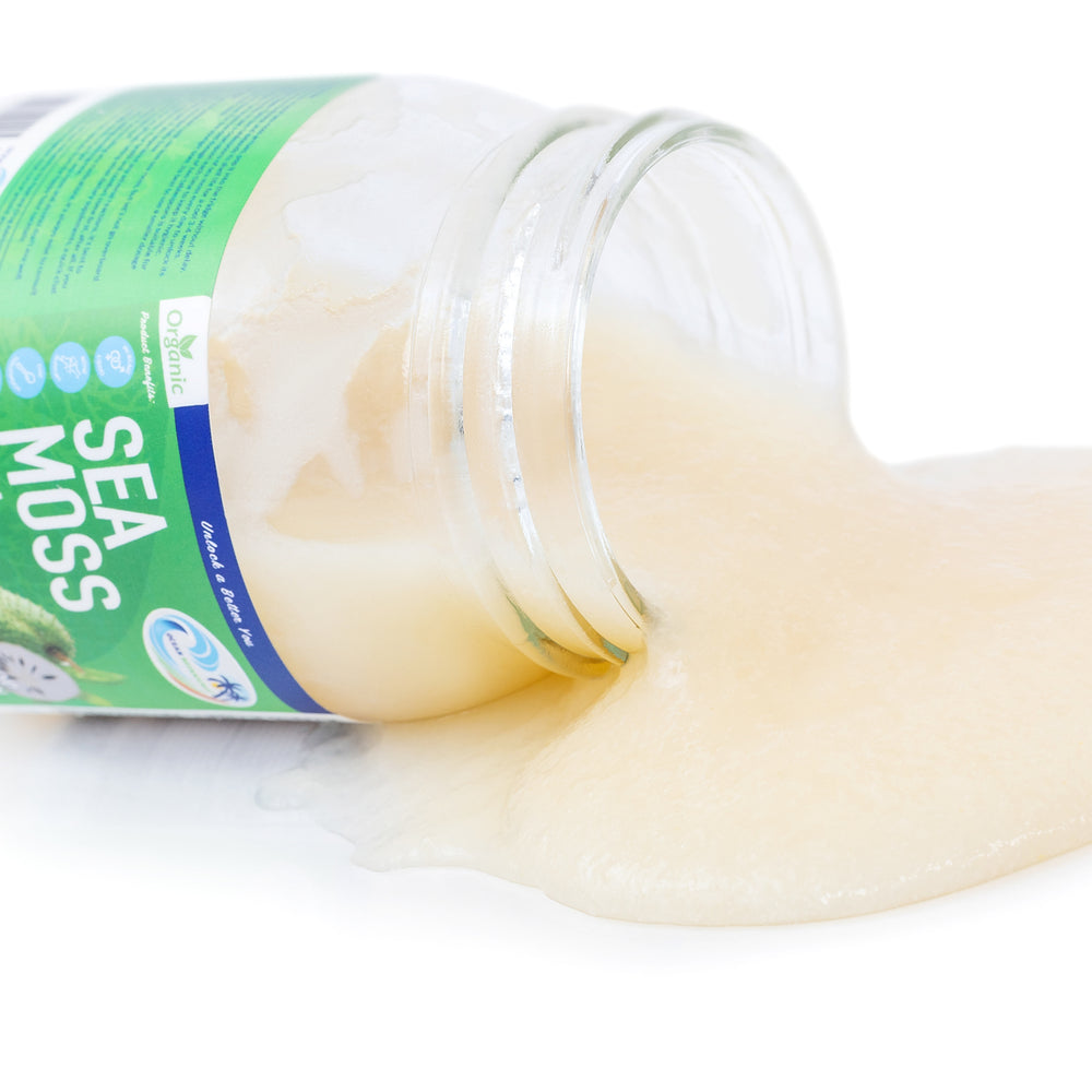 
                  
                    Soursop Moss Gel - Ocean Botanicals
                  
                