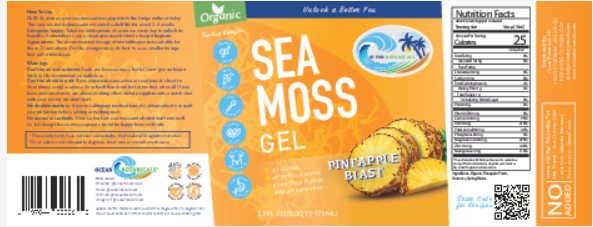 
                  
                    Pineapple Sea Moss Gel - Ocean Botanicals
                  
                